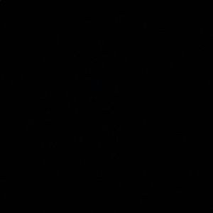 Meet your Posher, Jesus